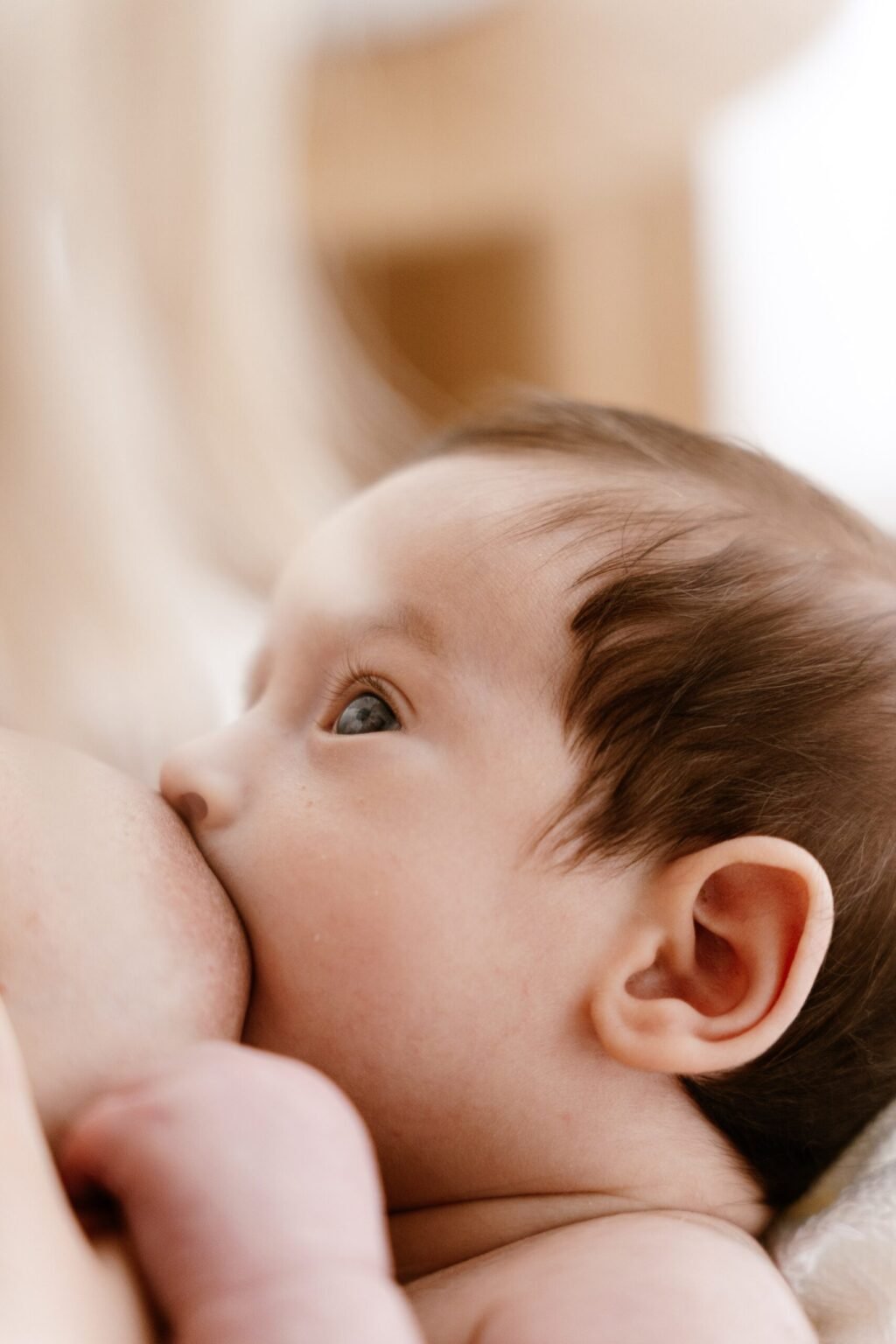 DianaBonachela 24 1024x1536