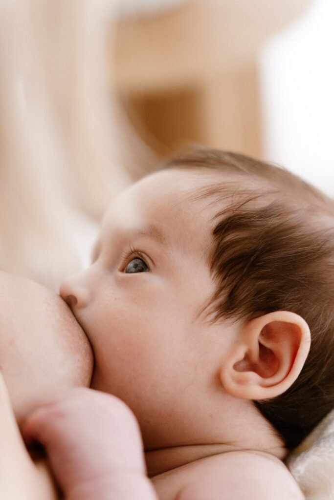 DianaBonachela 24 683x1024