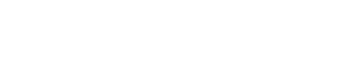 white logo.png